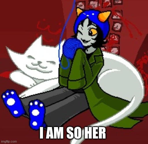 I AM SO HER | image tagged in homestuck | made w/ Imgflip meme maker