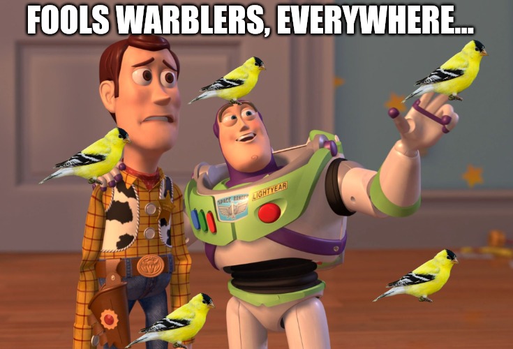 Fools Warblers, Everywhere... | FOOLS WARBLERS, EVERYWHERE... | image tagged in memes,x x everywhere | made w/ Imgflip meme maker