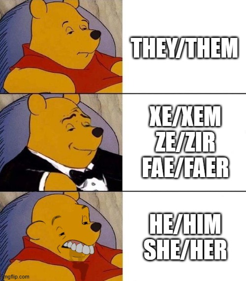 What pronoun would you choose to use? | THEY/THEM; XE/XEM
ZE/ZIR
FAE/FAER; HE/HIM
SHE/HER | image tagged in best better blurst,lgbtq,gender,pronouns | made w/ Imgflip meme maker