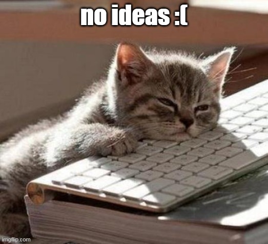 tired cat | no ideas :( | image tagged in tired cat | made w/ Imgflip meme maker