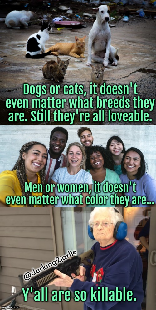 Go for the head grandma! | Dogs or cats, it doesn't even matter what breeds they are. Still they're all loveable. Men or women, it doesn't even matter what color they are... @darking2jarlie; Y'all are so killable. | image tagged in badass granma,human,humanity,mass shooting,dogs,cats | made w/ Imgflip meme maker