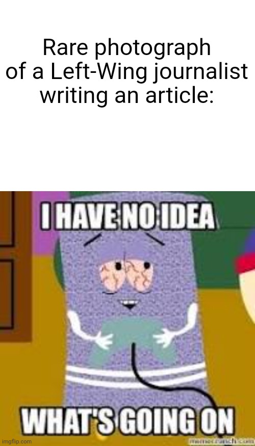 Rare photograph of a Left-Wing journalist writing an article: | image tagged in blank white template,towelie,funny,politics | made w/ Imgflip meme maker