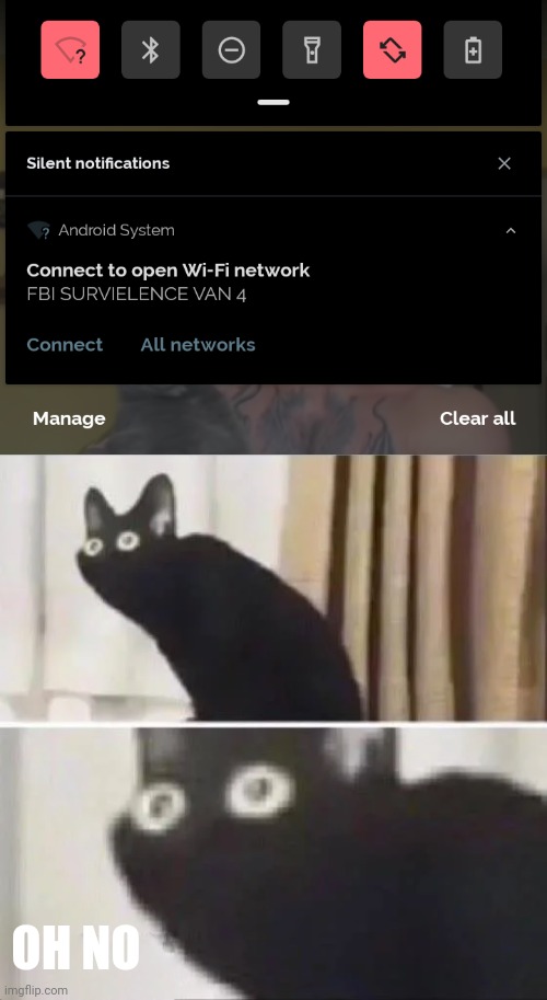 They're surveying me | OH NO | image tagged in oh no black cat | made w/ Imgflip meme maker