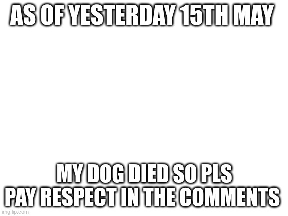 sad | AS OF YESTERDAY 15TH MAY; MY DOG DIED SO PLS PAY RESPECT IN THE COMMENTS | image tagged in blank white template,sad,dog meme,friends,good bye,i love you | made w/ Imgflip meme maker