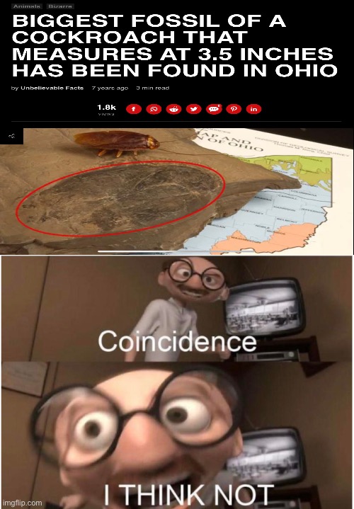 Only in Ohio | image tagged in coincidence i think not,ohio,only in ohio,cockroach | made w/ Imgflip meme maker
