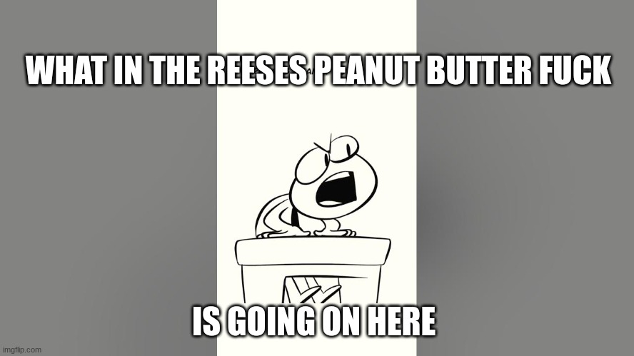 nutshell animations | WHAT IN THE REESES PEANUT BUTTER FUCK IS GOING ON HERE | image tagged in nutshell animations | made w/ Imgflip meme maker