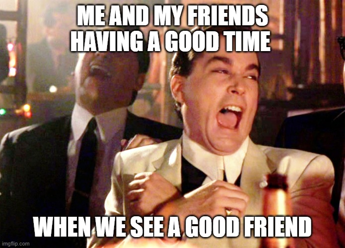 Good Fellas Hilarious | ME AND MY FRIENDS HAVING A GOOD TIME; WHEN WE SEE A GOOD FRIEND | image tagged in memes,good fellas hilarious | made w/ Imgflip meme maker