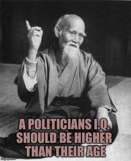 Wise Master | A POLITICIANS I.Q. 
SHOULD BE HIGHER 
THAN THEIR AGE | image tagged in wise master | made w/ Imgflip meme maker