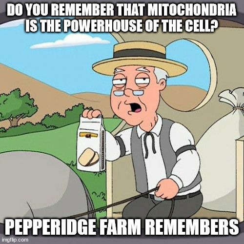Pepperidge Farm Remembers Meme | DO YOU REMEMBER THAT MITOCHONDRIA IS THE POWERHOUSE OF THE CELL? PEPPERIDGE FARM REMEMBERS | image tagged in memes,pepperidge farm remembers | made w/ Imgflip meme maker