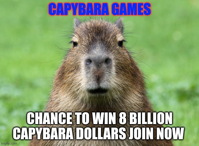 JOIN Capybara games | CAPYBARA GAMES; CHANCE TO WIN 8 BILLION CAPYBARA DOLLARS JOIN NOW | image tagged in capybara is not amused | made w/ Imgflip meme maker