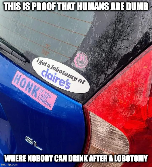 Car With Lobotomy Sticker | THIS IS PROOF THAT HUMANS ARE DUMB; WHERE NOBODY CAN DRINK AFTER A LOBOTOMY | image tagged in cars,memes | made w/ Imgflip meme maker