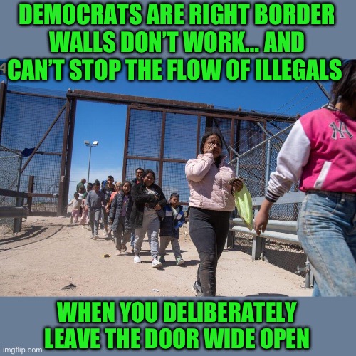 Simple truths | DEMOCRATS ARE RIGHT BORDER WALLS DON’T WORK… AND CAN’T STOP THE FLOW OF ILLEGALS; WHEN YOU DELIBERATELY LEAVE THE DOOR WIDE OPEN | image tagged in democrats | made w/ Imgflip meme maker