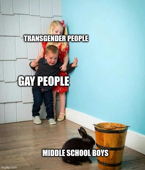 I hate them so fricking much | TRANSGENDER PEOPLE; GAY PEOPLE; MIDDLE SCHOOL BOYS | image tagged in children scared of rabbit,memes,relatable,funny,school,boys | made w/ Imgflip meme maker