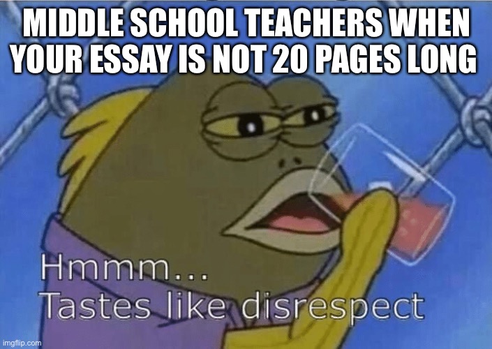 This is my first image In this stream | MIDDLE SCHOOL TEACHERS WHEN YOUR ESSAY IS NOT 20 PAGES LONG | image tagged in blank tastes like disrespect | made w/ Imgflip meme maker