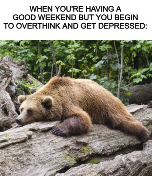 Welp, my days ruined :C | WHEN YOU'RE HAVING A GOOD WEEKEND BUT YOU BEGIN TO OVERTHINK AND GET DEPRESSED: | image tagged in blank white template,procrastination bear | made w/ Imgflip meme maker