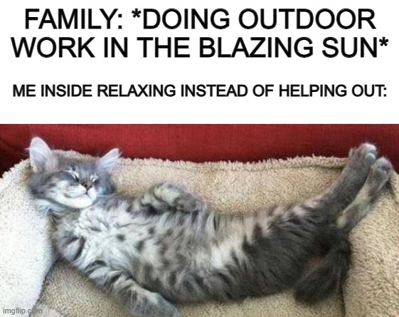 Ik it isn't helpful, but I'm not much of an outdoor person, when it comes to working/fixing :/ | FAMILY: *DOING OUTDOOR WORK IN THE BLAZING SUN*; ME INSIDE RELAXING INSTEAD OF HELPING OUT: | image tagged in blank white template,relaxed cat | made w/ Imgflip meme maker