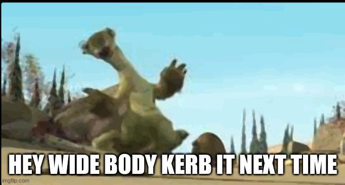 WIDE BODY | HEY WIDE BODY KERB IT NEXT TIME | image tagged in hey wide body | made w/ Imgflip meme maker