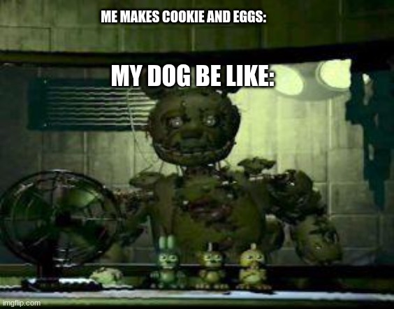 FNAF Springtrap in window | ME MAKES COOKIE AND EGGS:; MY DOG BE LIKE: | image tagged in fnaf springtrap in window | made w/ Imgflip meme maker