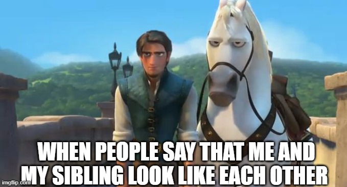 Tangled Siblings  | WHEN PEOPLE SAY THAT ME AND MY SIBLING LOOK LIKE EACH OTHER | image tagged in tangled siblings | made w/ Imgflip meme maker