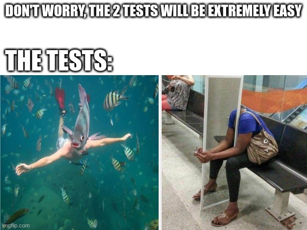 school tests be like | DON'T WORRY, THE 2 TESTS WILL BE EXTREMELY EASY; THE TESTS: | image tagged in school | made w/ Imgflip meme maker