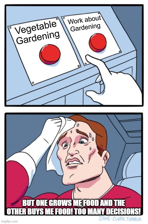 Gardening vs Work | Work about Gardening; Vegetable Gardening; BUT ONE GROWS ME FOOD AND THE OTHER BUYS ME FOOD! TOO MANY DECISIONS! | image tagged in memes,two buttons | made w/ Imgflip meme maker