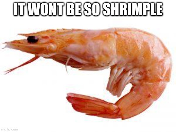 Shrimply | IT WONT BE SO SHRIMPLE | image tagged in shrimply | made w/ Imgflip meme maker