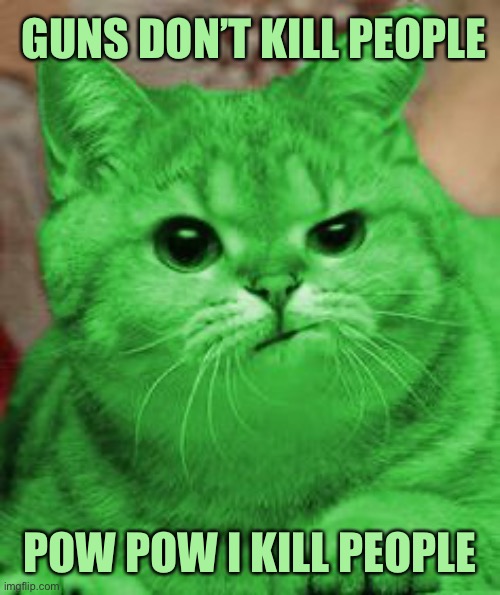 RayCat Annoyed | GUNS DON’T KILL PEOPLE; POW POW I KILL PEOPLE | image tagged in raycat annoyed,memes,raycat,second amendment | made w/ Imgflip meme maker