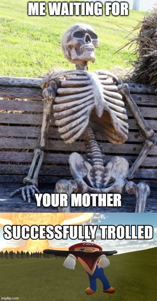 very successfully | ME WAITING FOR; YOUR MOTHER | image tagged in memes,waiting skeleton,troll,mario,funny,your mom | made w/ Imgflip meme maker