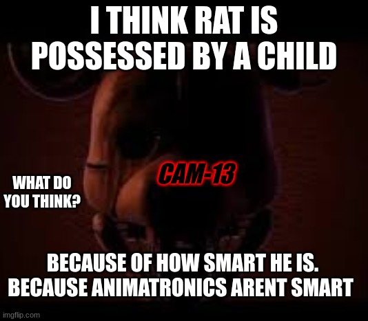 is rat possessed? | I THINK RAT IS POSSESSED BY A CHILD; WHAT DO YOU THINK? CAM-13; BECAUSE OF HOW SMART HE IS. BECAUSE ANIMATRONICS ARENT SMART | image tagged in fnaf,rats | made w/ Imgflip meme maker