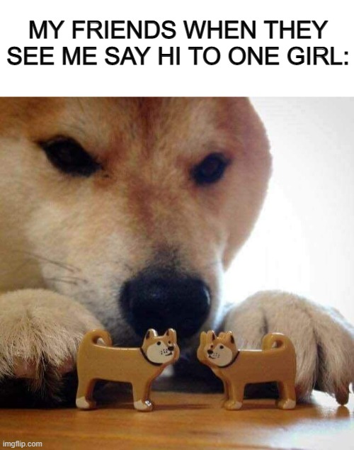 "Simp" -_- | MY FRIENDS WHEN THEY SEE ME SAY HI TO ONE GIRL: | image tagged in blank white template,dog now kiss | made w/ Imgflip meme maker