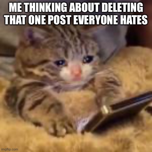 :( | ME THINKING ABOUT DELETING THAT ONE POST EVERYONE HATES | image tagged in cat,sad,crying | made w/ Imgflip meme maker