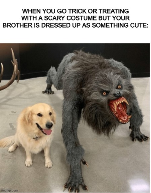 Way to ruin the vibes bro :P | WHEN YOU GO TRICK OR TREATING WITH A SCARY COSTUME BUT YOUR BROTHER IS DRESSED UP AS SOMETHING CUTE: | image tagged in blank white template,dog wolf | made w/ Imgflip meme maker