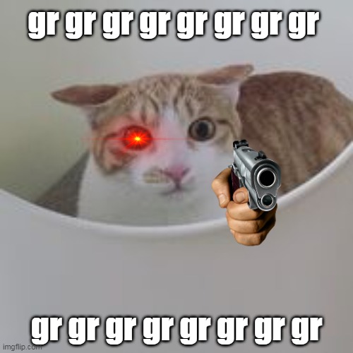 GRRRRRRRRRRRRRRRRR | gr gr gr gr gr gr gr gr; gr gr gr gr gr gr gr gr | image tagged in angry cat,cat,angry,gun | made w/ Imgflip meme maker