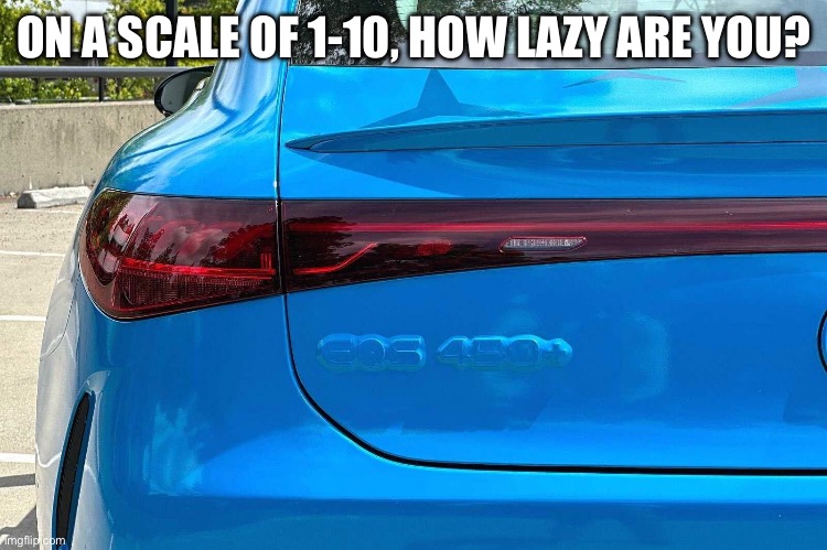 Lazy vinyl wrap | ON A SCALE OF 1-10, HOW LAZY ARE YOU? | image tagged in lazy vinyl wrap | made w/ Imgflip meme maker