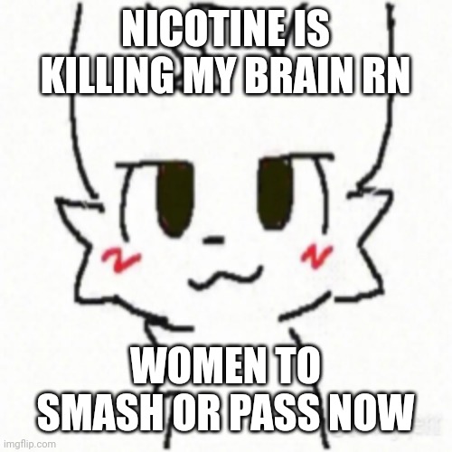 Boy Kisser | NICOTINE IS KILLING MY BRAIN RN; WOMEN TO SMASH OR PASS NOW | image tagged in boy kisser | made w/ Imgflip meme maker