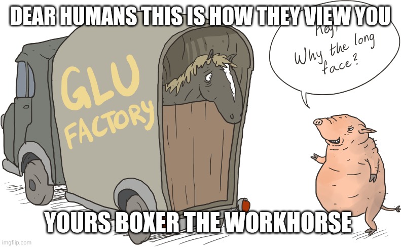 Stupid people | DEAR HUMANS THIS IS HOW THEY VIEW YOU; YOURS BOXER THE WORKHORSE | image tagged in animals | made w/ Imgflip meme maker