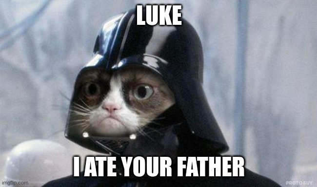 Grumpy Cat Star Wars | LUKE; I ATE YOUR FATHER | image tagged in memes,grumpy cat star wars,grumpy cat | made w/ Imgflip meme maker