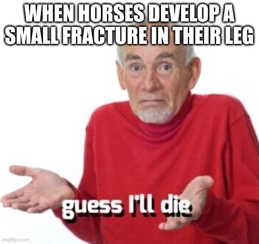 If you know you know | WHEN HORSES DEVELOP A SMALL FRACTURE IN THEIR LEG | image tagged in guess ill die,animals | made w/ Imgflip meme maker
