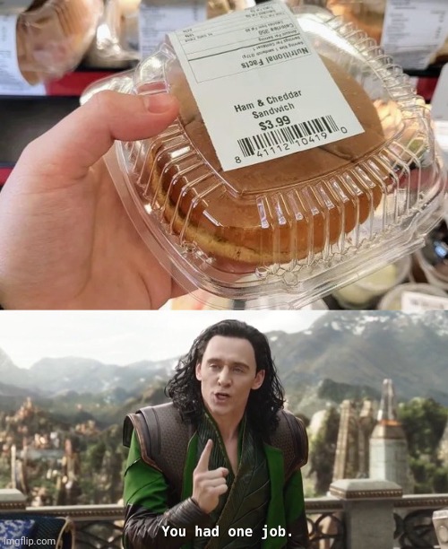 A little pricey for a "Wish" Sandwich | image tagged in you had one job loki,meat,well yes but actually no,sandwich,ooo you almost had it,shut up and take my money | made w/ Imgflip meme maker
