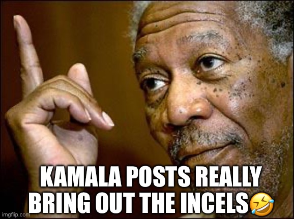 This Morgan Freeman | KAMALA POSTS REALLY BRING OUT THE INCELS? | image tagged in this morgan freeman | made w/ Imgflip meme maker