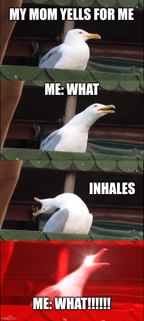Inhaling Seagull Meme | MY MOM YELLS FOR ME; ME: WHAT; INHALES; ME: WHAT!!!!!! | image tagged in memes,inhaling seagull | made w/ Imgflip meme maker