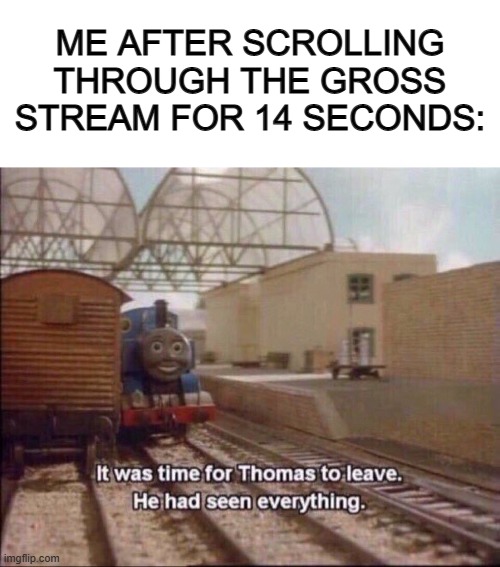 Yeah X_X | ME AFTER SCROLLING THROUGH THE GROSS STREAM FOR 14 SECONDS: | image tagged in blank white template,it was time for thomas to leave | made w/ Imgflip meme maker