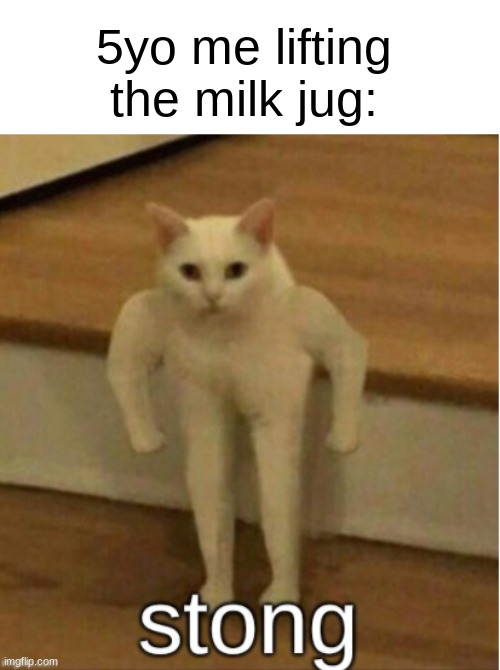 Strong Cat | 5yo me lifting the milk jug: | image tagged in stong cat | made w/ Imgflip meme maker