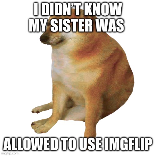 cheems | I DIDN’T KNOW MY SISTER WAS ALLOWED TO USE IMGFLIP | image tagged in cheems | made w/ Imgflip meme maker