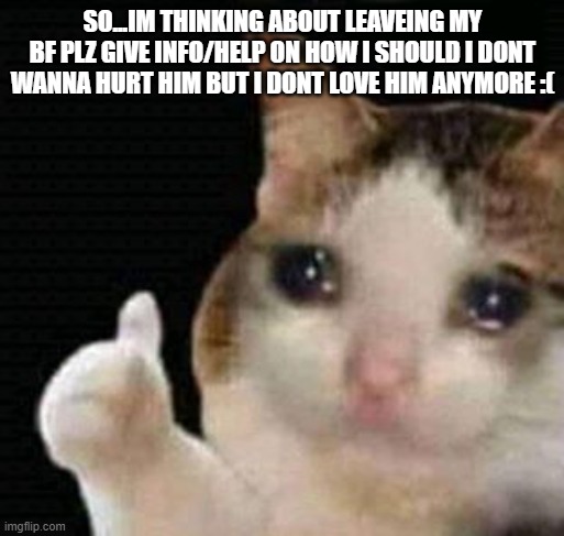 sad thumbs up cat | SO...IM THINKING ABOUT LEAVEING MY BF PLZ GIVE INFO/HELP ON HOW I SHOULD I DONT WANNA HURT HIM BUT I DONT LOVE HIM ANYMORE :( | image tagged in sad thumbs up cat | made w/ Imgflip meme maker