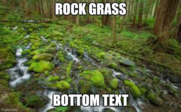 moss | ROCK GRASS; BOTTOM TEXT | image tagged in moss | made w/ Imgflip meme maker