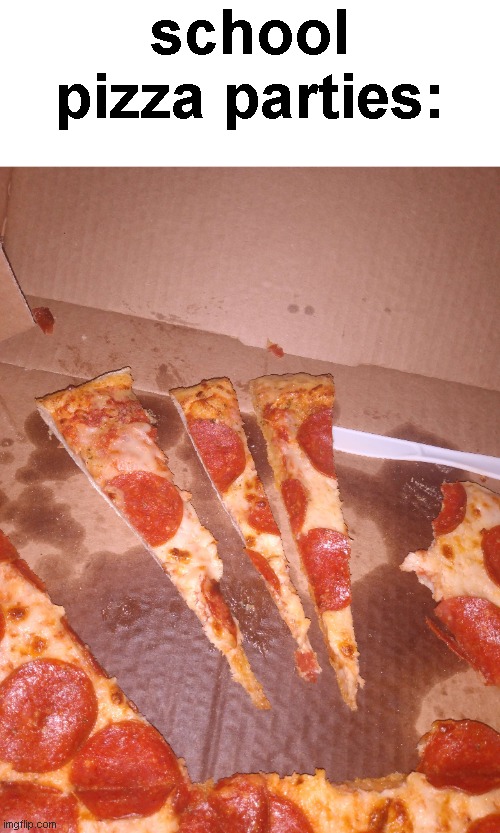 damn skinny slices | school pizza parties: | image tagged in school pizza party,slices,small | made w/ Imgflip meme maker