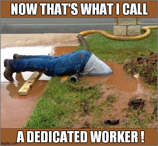 Blocked Sewer ... No Problem ! | NOW THAT'S WHAT I CALL; A DEDICATED WORKER ! | image tagged in sewage,worker,now thats what i call,dedicated,dark humour | made w/ Imgflip meme maker