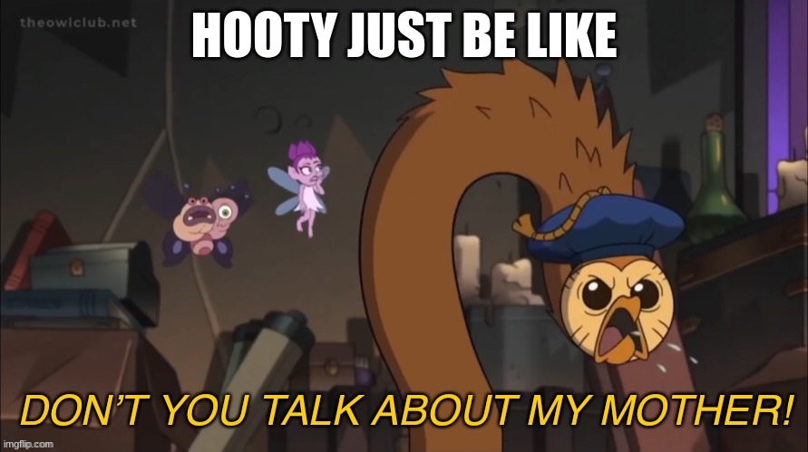 DON’T YOU TALK ABOUT MY MOTHER! | HOOTY JUST BE LIKE | image tagged in don t you talk about my mother | made w/ Imgflip meme maker