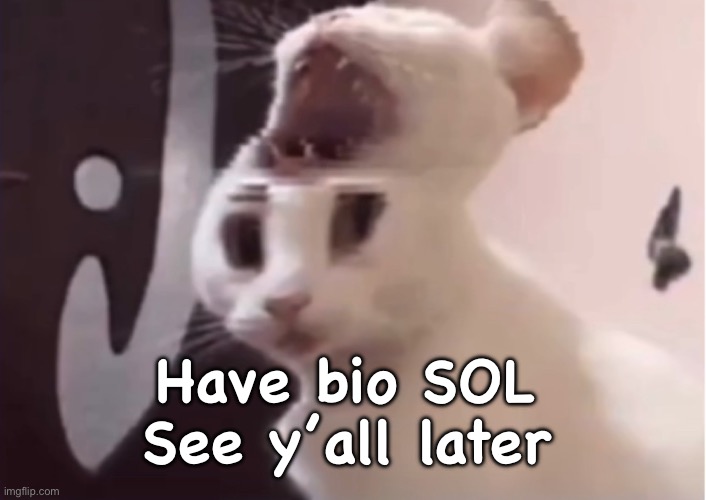 Shocked cat | Have bio SOL 
See y’all later | image tagged in shocked cat | made w/ Imgflip meme maker